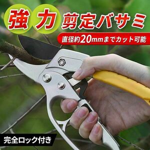 剪定バサミ ハサミ ばさみ はさみ 鋏 枝切り鋏 盆栽 園芸 植木 万能 庭木 強力 生花 ガーデニング 家庭菜園 造園 観葉植物