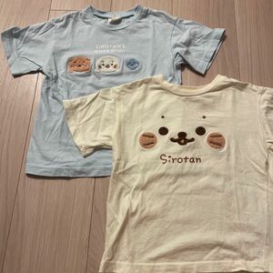 しまむら　しろたん　Tシャツ　セット