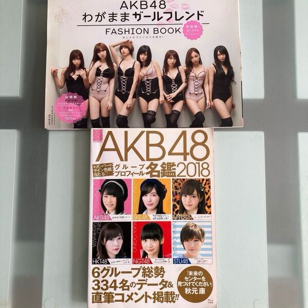 AKB48雑誌書物2冊まとめ売り