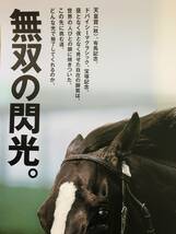 レア 最新作 貴重 非売品 JRA ヒーロー列伝 #94 イクイノックス B1ポスター 2023年 Cルメール ジャパンカップ キタサンブラック_画像3