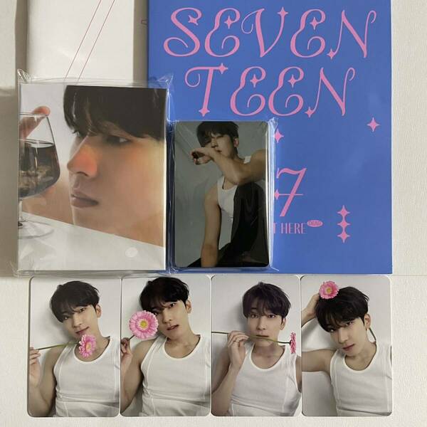 SEVENTEEN ウォヌ BEST ALBUM 17 IS RIGHT HERE DEAR ver. バインダー トレカ 28枚 コンプ 検) セブチ ディアー カラット フォトカード