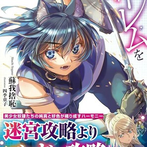 【新品 未使用】異世界迷宮でハーレムを 13 蘇我捨恥 送料無料