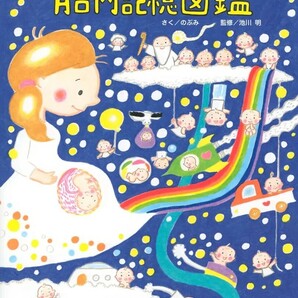 【新品 未使用】胎内記憶図鑑 のぶみ 送料無料