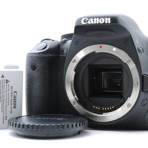 ★良品★ キャノン CANON EOS Kiss X5 ボディの画像1