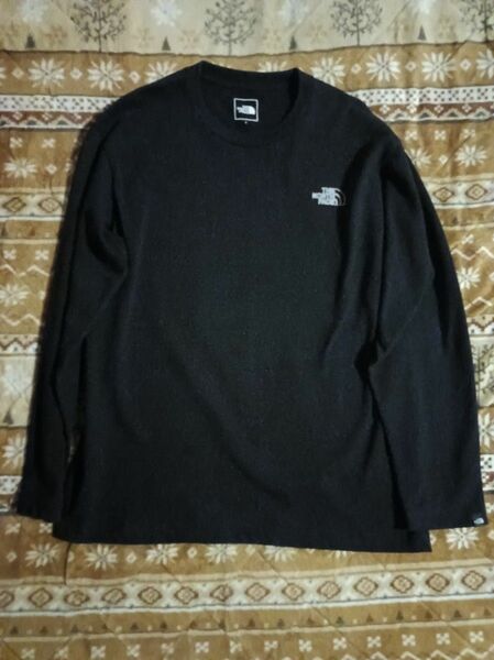 THE NORTH FACE ノースフェイス 長袖 Tシャツ NT82231AP