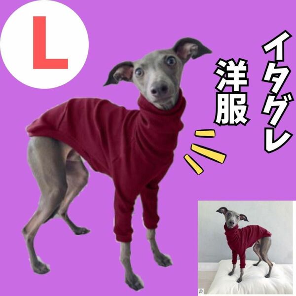 イタグレ服　赤　首元あったか　プルオーバー　犬服　イタリアングレーハウンド　防寒　ペット洋服　ミニピン　ウィペット