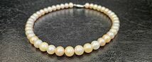 アコヤ真珠 9.5mm(~)10mm pearl necklace ピンク/ホワイト/クリーム/グラデーションカラー 42cm SILVER ネックレス アクセサリー_画像6