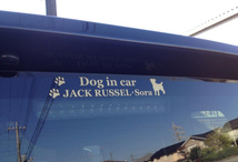 DOG IN CAR（犬が乗ってます）ステッカー　横長　　　001_画像4