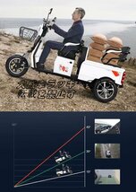 強くお勧め 高齢者向けの電動三輪車 家庭用 三輪車レジャー旅行ショッピング通勤用 F1161_画像7