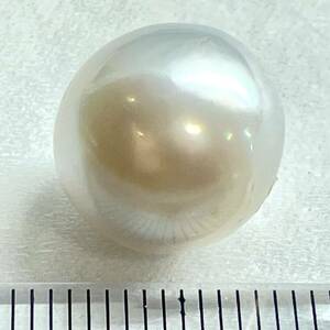 (南洋白蝶真珠14.22ct)j 約12.7×12.3mm ルース 裸石 宝石 south sea pearl 真珠 CE0/EA0 k