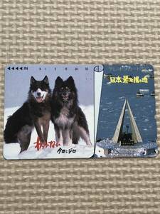 [ unused ] telephone card taro.jiro Japan most north edge. ground . inside dog 