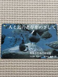 【未使用】テレホンカード　人と鳥の共存をめざして　我孫子市鳥の博物館　市の鳥　オオバン　