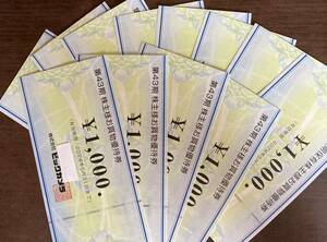 ビックカメラ 優待券12,000円分(1,000円券×12枚)です。