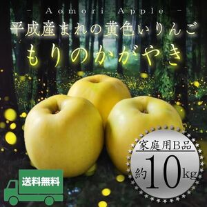 " もりのかがやき "【青森県産りんご10kg】【産地直送】【即購入OK】【送料無料】【旬の果物】家庭用 りんご リンゴ 林檎