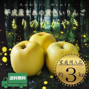 " もりのかがやき "【青森県産りんご3kg】【産地直送】【即購入OK】【送料無料】【旬の果物】家庭用 りんご リンゴ 林檎