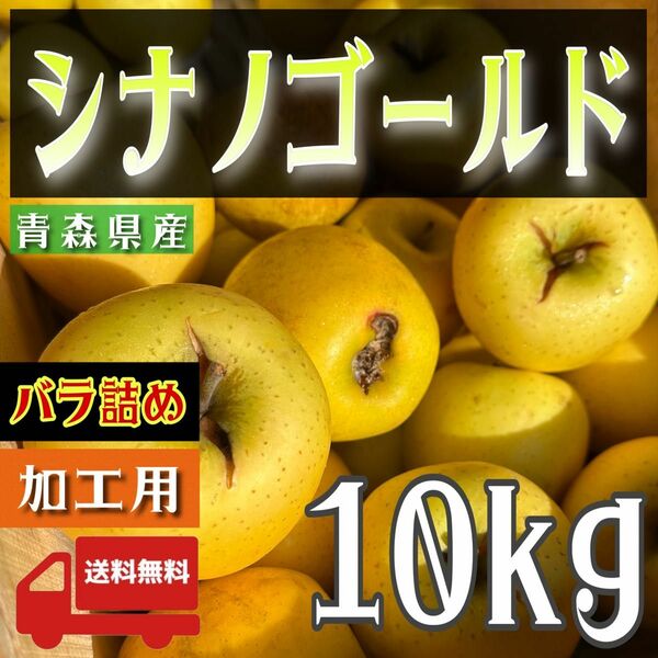 ＂ シナノゴールド ＂【青森県産りんご10kg】【産地直送】【即購入OK】【送料無料】加工用 りんご リンゴ サンフジ