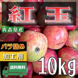 ＂ 紅玉 ＂【青森県産りんご10kg】【産地直送】【即購入OK】【送料無料】加工用 りんご リンゴ 林檎