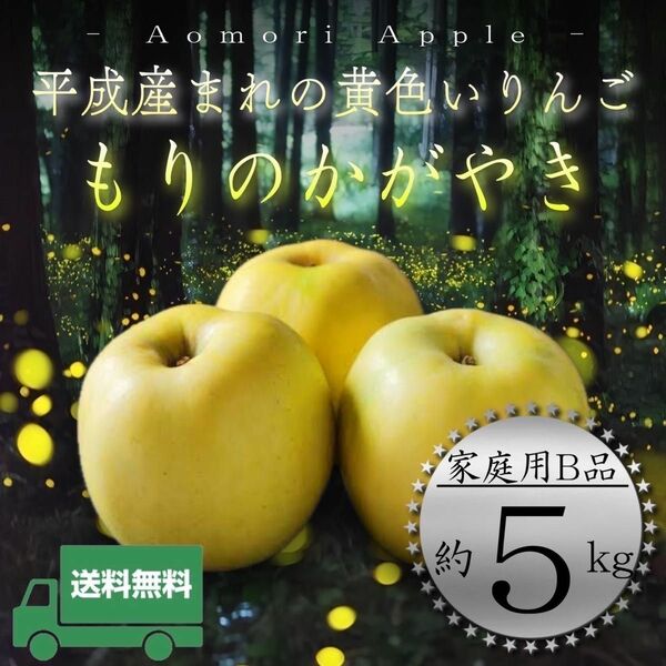 " もりのかがやき "【青森県産りんご5kg】【産地直送】【即購入OK】【送料無料】【旬の果物】家庭用 りんご リンゴ 林檎