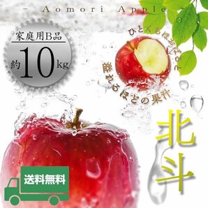 ＂ 北斗 (ほくと) ＂【青森県産りんご10kg】【産地直送】【即購入OK】【送料無料】家庭用 りんご リンゴ 林檎