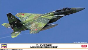 ハセガワ 02460 1/72 F-15DJ イーグル “アグレッサー グリーンスキーム”