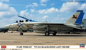  Hasegawa 02406 1/72 F-14D Tomcat *VF-213 black lion z last cruise ~