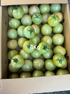 規格外トマト４Kg