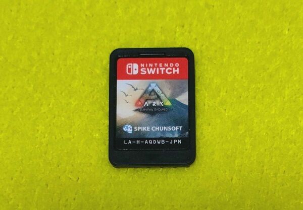 Nintendo Switch 【日本版】ARK Survival Evolved