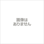 HAI SPORTING GEAR◆アロハシャツ/M/コットン/BLU/総柄_画像3