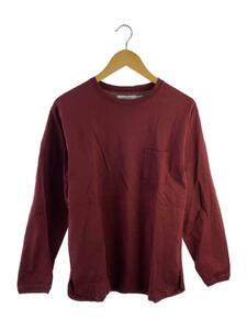 nonnative◆DWELLER L/S TEE/19AW/長袖Tシャツ/2/コットン/BRD/NN－C3619//