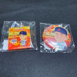 アジチャン ガチャ 隅田知一郎 缶バッジ&アクキー 侍ジャパン