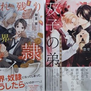 BLノベルセット