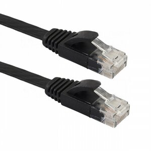 【vaps_6】カテゴリ6 フラットLANケーブル 《10m》 RJ45 薄型 CAT6 LANケーブル 送込