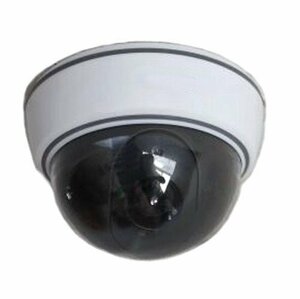 [VAPS_1] Cross Work dome type dummy camera crime prevention measures . including postage 