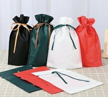 【vaps_4】ギフト袋 10枚セット 《グリーン》 不織布 シンプル 巾着袋 ラッピング袋 クリスマス バレンタイン ホワイトデー 送込_画像2