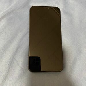 iPhone XS 256GB