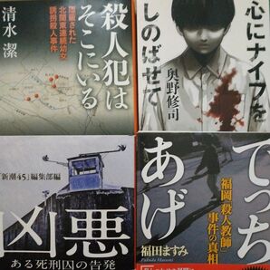 傑作ノンフィクション4冊 でっちあげ福岡殺人教師 心にナイフをしのばせて 殺人犯はそこにいる幼女連続殺人 凶悪-ある死刑囚の告発