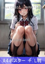 【A4 + プロマイド(L判) セット】 gakuse1 ポスター 高画質 同人 アニメ かわいい イラスト アート 巨乳 コスプレ パンチラ セーラー服_画像1