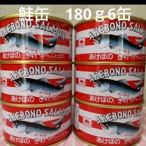 あけぼの　さけ　鮭缶　6個　マルハニチロ　からふとます　水煮　缶詰　常備保存食