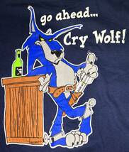 【未使用】米海軍海上制圧飛行隊VS-35 Blue Wolves Mサイズ Tシャツ 「go ahead... Cry Wolf!」R45_画像5