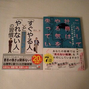 【送料無料】ビジネス本 2タイトルセット すぐやる人とやれない人の習慣 塚本亮 こうして社員は、やる気を失っていく 松岡保昌