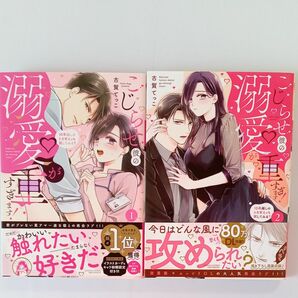 こじらせ彼の溺愛が重すぎます！１０年　１・２巻 （ぶんか社コミックス　Ｓｇｉｒｌ　Ｓｅｌｅ） 古賀てっこ