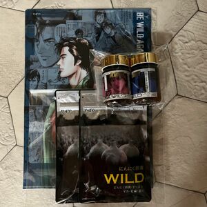 にんにく卵黄WILD シティーハンタークリアファイル　専用サプリメントケース付き　CITYHUNTER　非売品　やずや　2袋