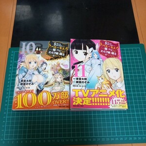 【裁断済み】Ｓランクモンスターの《ベヒーモス》だけど、猫と間違われてエルフ娘の騎士として暮らしてます　10、11