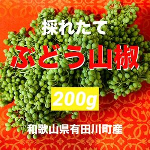 ☆数量限定　採れたて　ぶどう山椒　山椒の実　香辛料　野菜　旬　果実　スパイス　200g