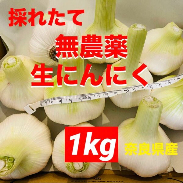 数量限定　採れたて　無農薬　生にんにく　家庭用 奈良県産　１ｋｇ　野菜