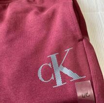 送料無料 新品 CALVIN KLEIN メンズ パンツ XL_画像6