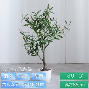 【新品】ファイグリーン 光触媒 観葉植物 オリーブ フェイク 光触媒人工観葉植物 85cm モクセイ科 消臭 抗菌