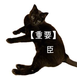 【重要】ご購入前の注意事項をご一読ください