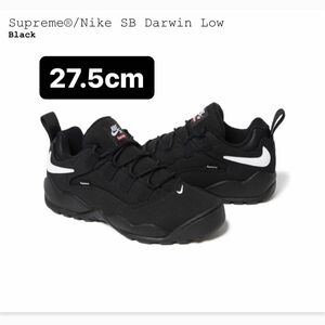 Supreme Nike SB Darwin Low US9.5