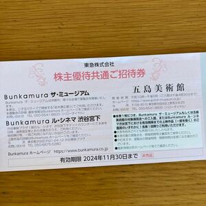  newest *Bunkamura The Mu jiam/. island art gallery stockholder common invitation ticket 1 sheets * Tokyu stockholder hospitality *~11 end of the month 